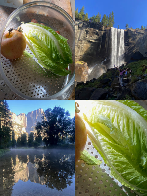 Fresh Vegetables On The Road ~ While 4 Days Camping!